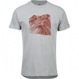 Men's Graphic T-Shirt, Grey, Size L